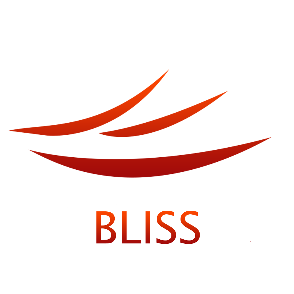 Bliss & Associates Professional Services LLC