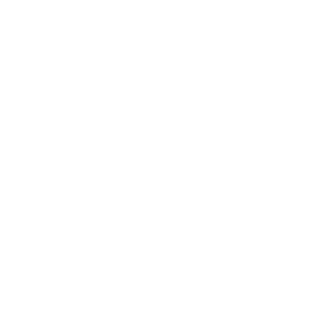 Blusteel Capital Solutions