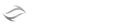 Dolphin Solutions Group, LLC