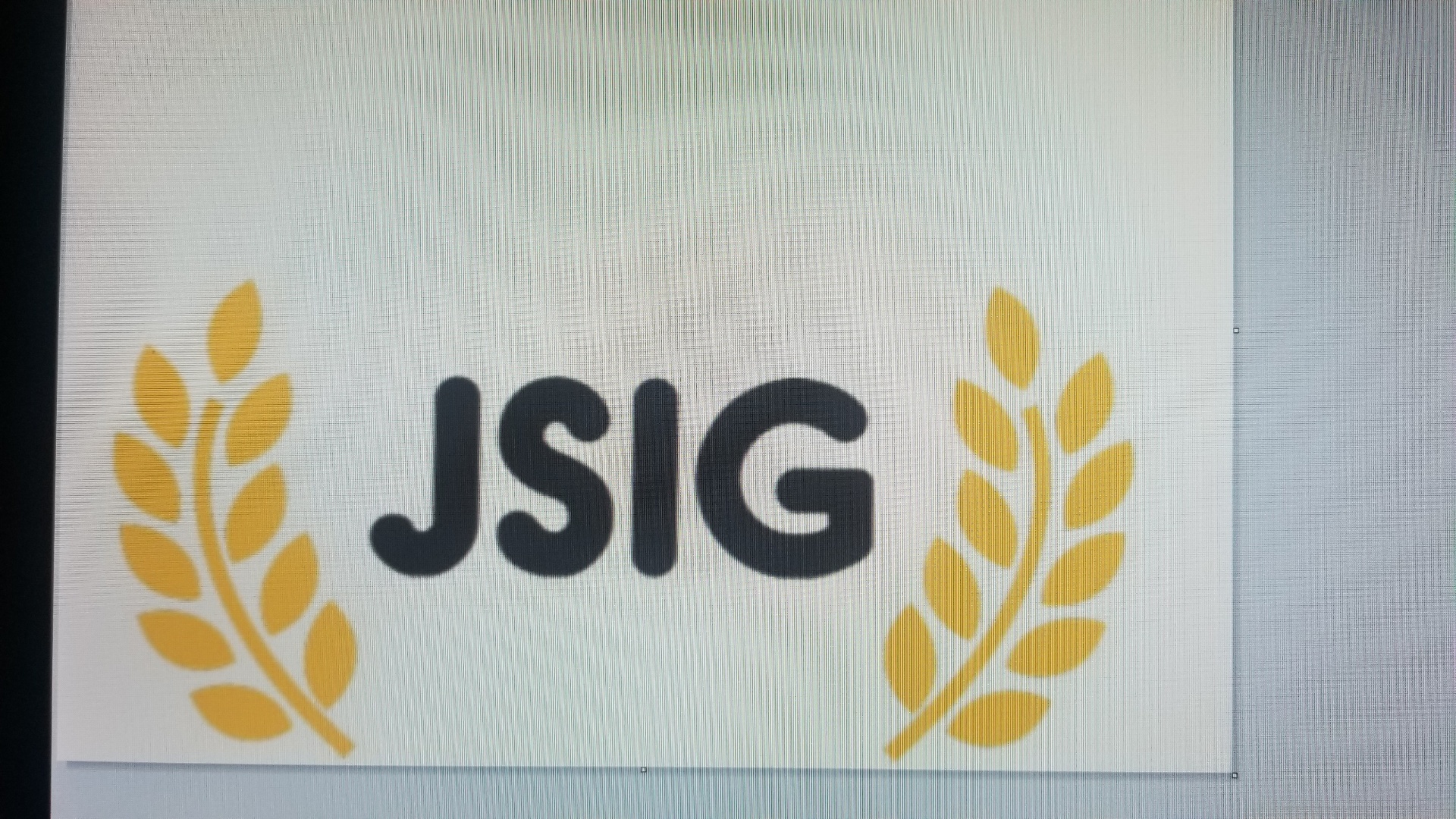 Js Investors Group Inc,